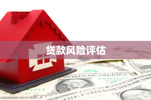 松潘贷款风险评估