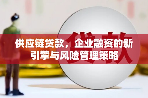 松潘供应链贷款，企业融资的新引擎与风险管理策略