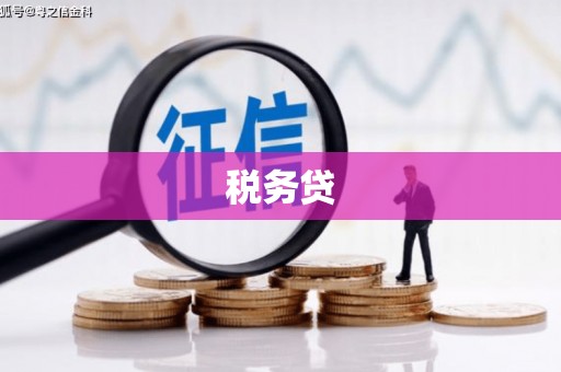 松潘税务贷