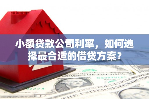 松潘小额贷款公司利率，如何选择最合适的借贷方案？