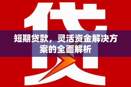 松潘短期贷款，灵活资金解决方案的全面解析