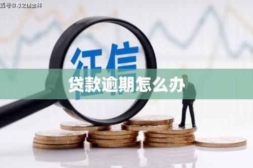 松潘贷款逾期怎么办