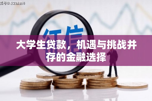 松潘大学生贷款，机遇与挑战并存的金融选择