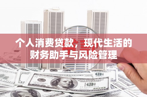 松潘个人消费贷款，现代生活的财务助手与风险管理
