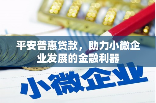松潘平安普惠贷款，助力小微企业发展的金融利器
