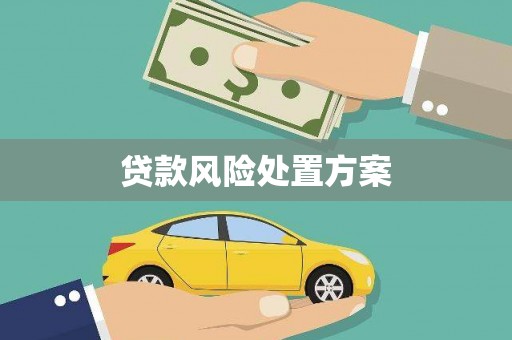 松潘贷款风险处置方案